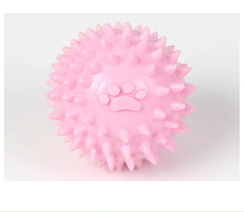 ChewClean TPR Pet Toy